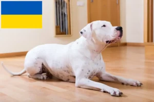 Read more about the article Criadores de Dogo Argentino e cachorros na Ucrânia