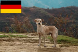 Read more about the article Kritikos Lagonikos criadores e cachorros na Alemanha