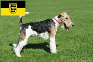 Read more about the article Fox Terrier criadores e cachorros em Baden-Württemberg