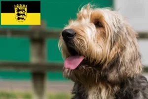 Read more about the article Criadores de lontra e cachorros em Baden-Württemberg