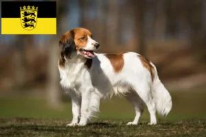 Read more about the article Criadores de Kooikerhondje holandês e cachorros em Baden-Württemberg