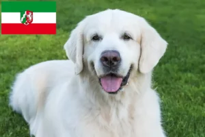 Read more about the article Slovensky Cuvac criadores e cachorros na Renânia do Norte-Vestefália