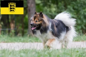 Read more about the article Criadores de Elo e cachorros em Baden-Württemberg
