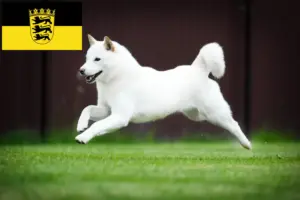 Read more about the article Criadores de Hokkaido e cachorros em Baden-Württemberg