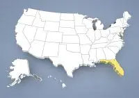 Criador de Spaniel Anão Continental na Flórida,FL, Flórida. Criador de Spaniel Anão Continental na Flórida,FL, Flórida.
