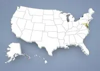 Criador de Spaniel Miniatura Continental em Maryland,MD, Md. Criador de Spaniel Miniatura Continental em Maryland,MD, Md.