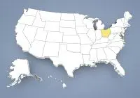Criador de Spaniel Anão Continental em Ohio,OH Criador de Spaniel Anão Continental em Ohio,OH