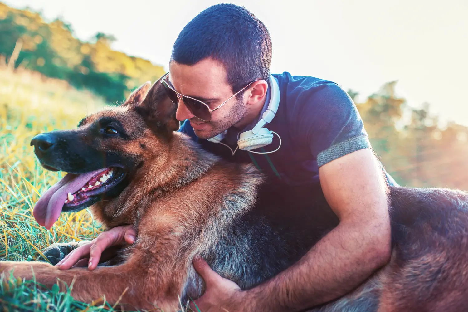 Pastor Alemão - O meu amor por esta raça de cão. Porque é que gosto de pastores alemães