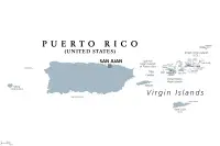 Criador de Spaniel Anão Continental em Porto Rico,Estado Livre Associado de Porto Rico Criador de Spaniel Anão Continental em Porto Rico,Estado Livre Associado de Porto Rico