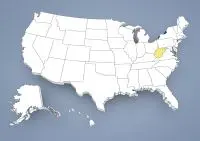 Criador de Spaniel Miniatura Continental em West Virginia,WV, W.Va. Criador de Spaniel Miniatura Continental em West Virginia,WV, W.Va.